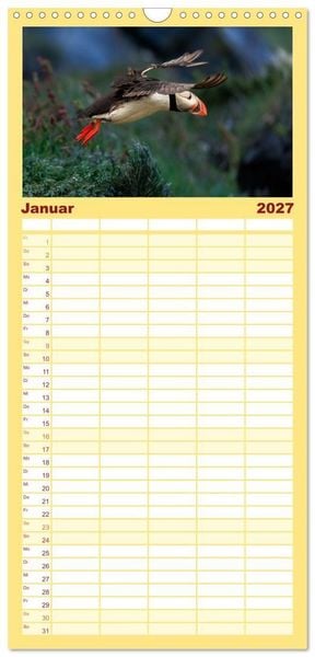 Produktbild: Familienplaner 2027 - Puffins - Papageientaucher auf Island mit 5 Spalten (Wandkalender, 21 x 45 cm) CALVENDO