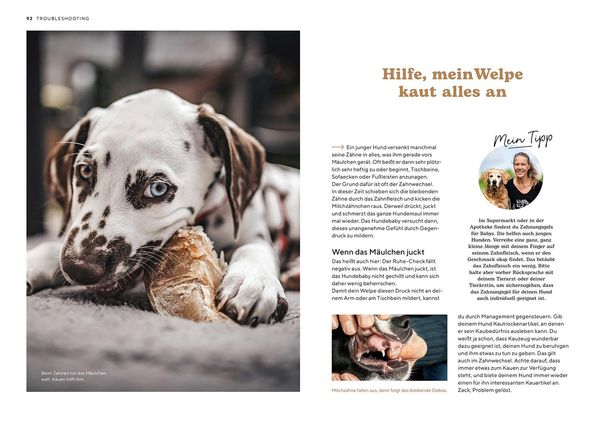 Produktbild: Welpenschule