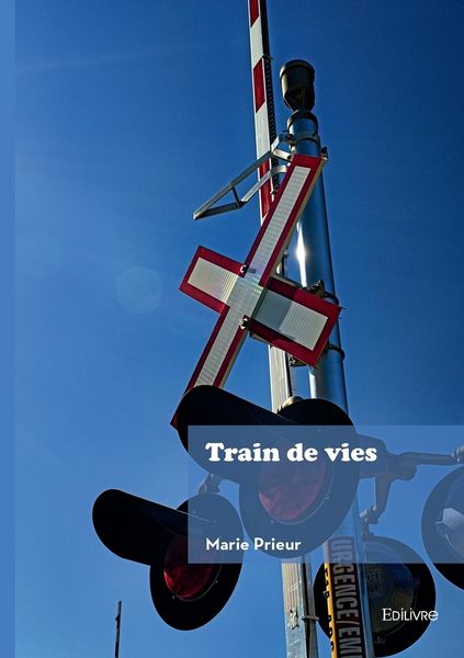 Produktbild: Train de vies