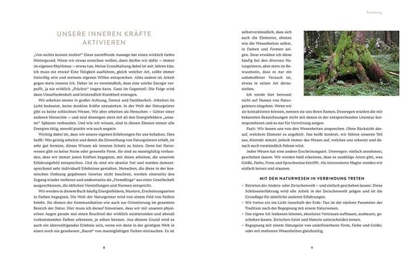 Produktbild: Die Welt der Naturgeister - Das Arbeitsbuch