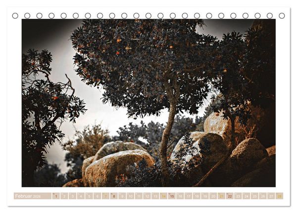 Produktbild: Sardinien Impressionen (Tischkalender 2026 DIN A5 quer), CALVENDO Monatskalender