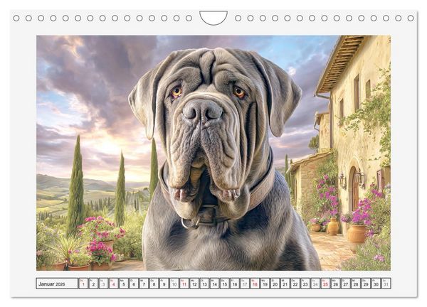 Produktbild: Mastino Napoletano. Die gelassenen Molosser mit antiken Vorfahren (Wandkalender 2026 DIN A4 quer), CALVENDO Monatskalender