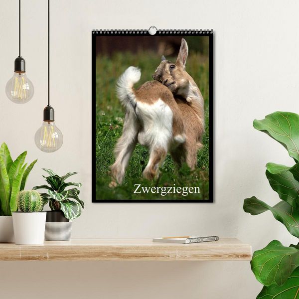 Produktbild: Zwergziegen (Wandkalender 2026 DIN A3 hoch), CALVENDO Monatskalender