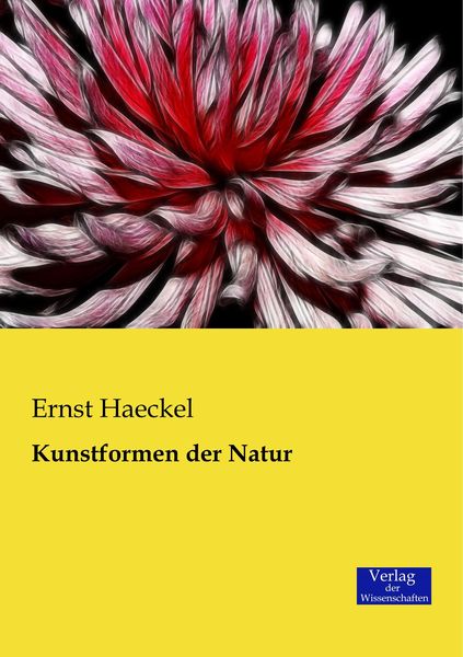 Kunstformen der Natur, Taschenbuch von Ernst Haeckel, Verlag der Wissenschaften, 9783957000316