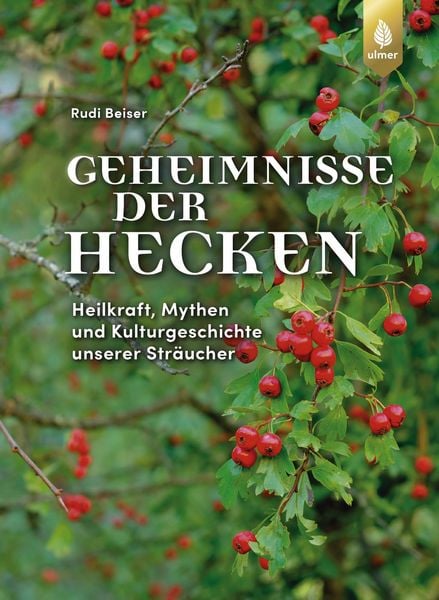 Produktbild: Geheimnisse der Hecken