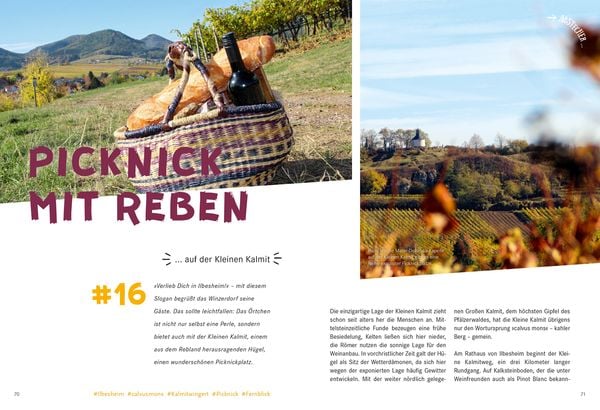 Produktbild: 52 kleine & große Eskapaden in der Pfalz