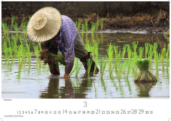 Produktbild: Thailand Kalender 2027 &ndash; Wandkalender | Fotokalender 24x35cm - Hochwertiger f&uuml;r 2027 &ndash; von der beeindruckenden Sch&ouml;nheit des Landes, Perfekt f&uuml;r Thailand-Liebhaber