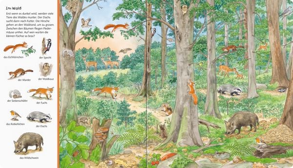 Produktbild: Mein gro&szlig;es Sachen suchen: Tiere der Welt