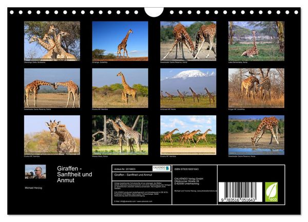Produktbild: Giraffen - Sanftheit und Anmut (Wandkalender 2026 DIN A4 quer), CALVENDO Monatskalender