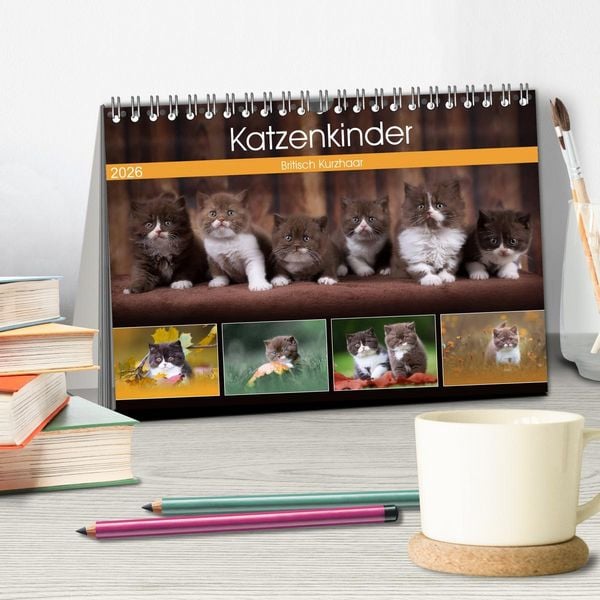 Produktbild: Katzenkinder - Britisch Kurzhaar (Tischkalender 2026 DIN A5 quer), CALVENDO Monatskalender