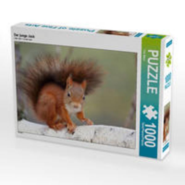 CALVENDO Puzzle Der junge Jack | 1000 Teile Lege-Größe 64x48cm Foto-Puzzle für glückliche Stunden