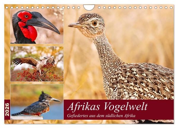 Produktbild: Afrikas Vogelwelt 2026 (Wandkalender 2026 DIN A4 quer), CALVENDO Monatskalender