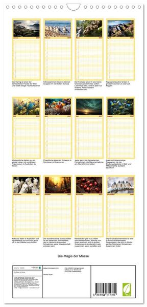 Produktbild: Familienplaner 2027 - Die Magie der Masse mit 5 Spalten (Wandkalender, 21 x 45 cm) CALVENDO