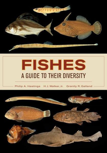 Produktbild: Hastings, P: Fishes: A Guide to Their Diversity