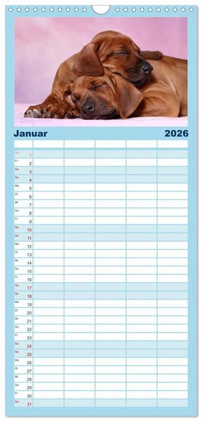 Produktbild: Familienplaner 2026 - S&uuml;&szlig;e Tr&auml;ume 2026 - schlafende Hundewelpen mit 5 Spalten (Wandkalender, 21 x 45 cm) CALVENDO