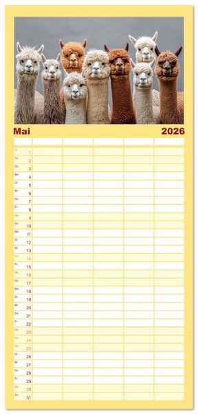 Produktbild: Familienplaner 2026 - Die Welt der Alpakas mit 5 Spalten (Wandkalender, 21 x 45 cm) CALVENDO