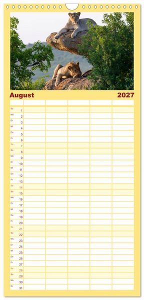Produktbild: Familienplaner 2027 - L&ouml;wen in Botswana und S&uuml;dafrika mit 5 Spalten (Wandkalender, 21 x 45 cm) CALVENDO