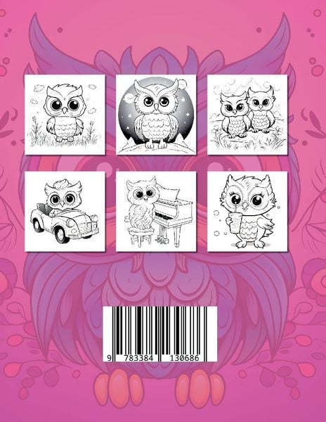 Produktbild: Eulen Malbuch