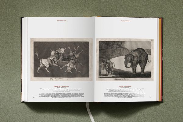 Produktbild: Goya