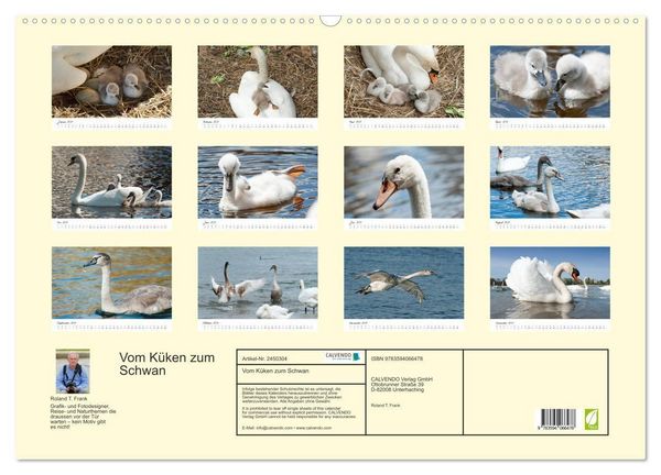 Produktbild: Vom K&uuml;ken zum Schwan (Wandkalender 2027 DIN A2 quer), CALVENDO Monatskalender