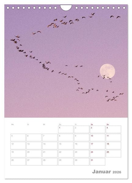 Produktbild: VOLLMOND-Planer - Im Licht der Nacht (Wandkalender 2026 DIN A4 hoch), CALVENDO Monatskalender