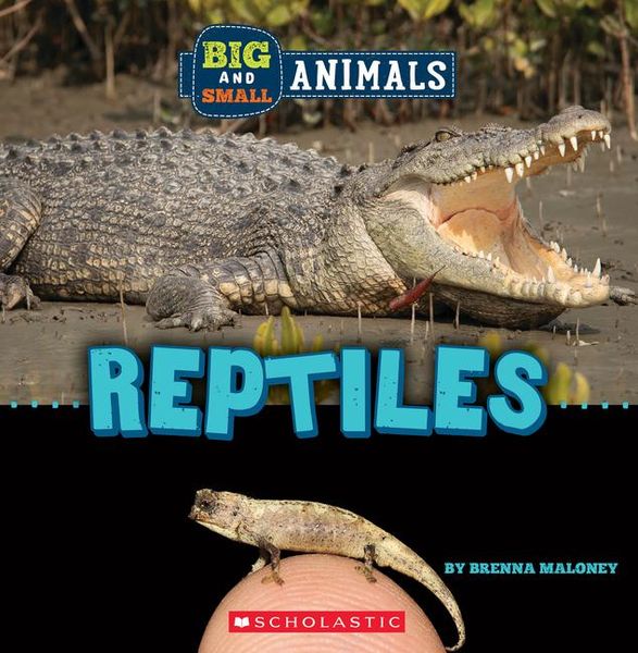 Produktbild: Reptiles (Wild World: Big and Small Animals)
