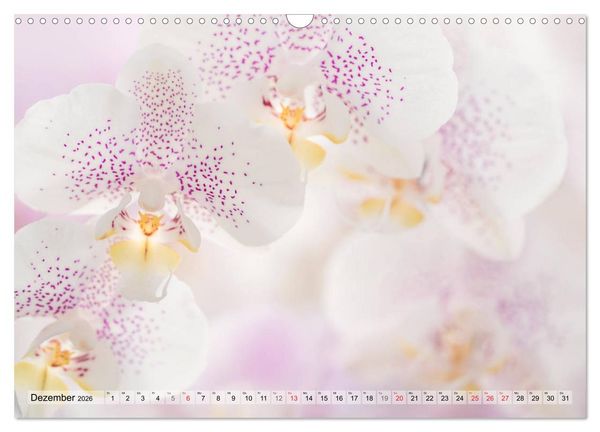 Produktbild: Farbenfroher Bl&uuml;tentraum (Wandkalender 2026 DIN A3 quer), CALVENDO Monatskalender