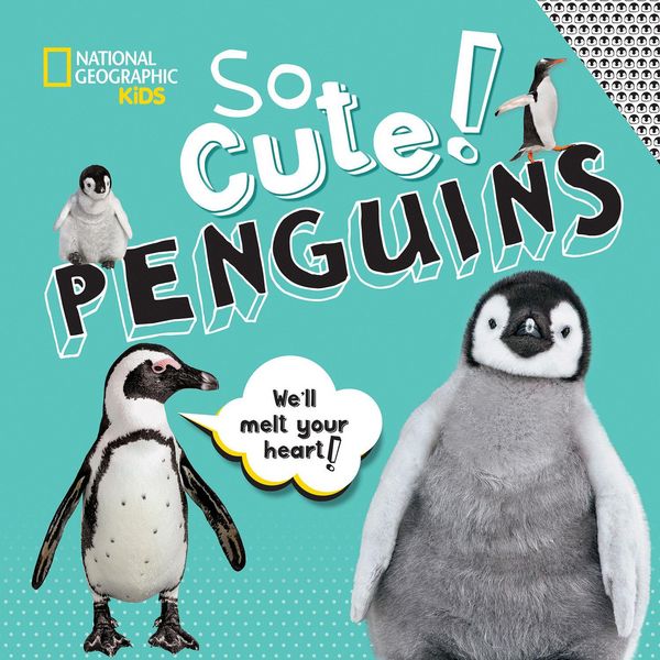 Produktbild: So Cute: Penguins