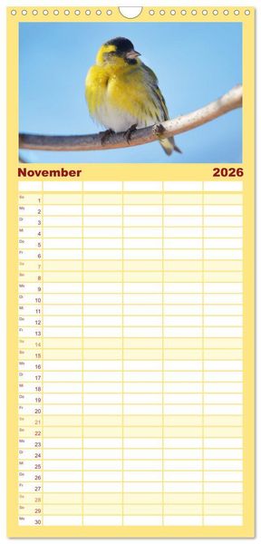 Produktbild: Familienplaner 2026 - Erlenzeisige mit 5 Spalten (Wandkalender, 21 x 45 cm) CALVENDO