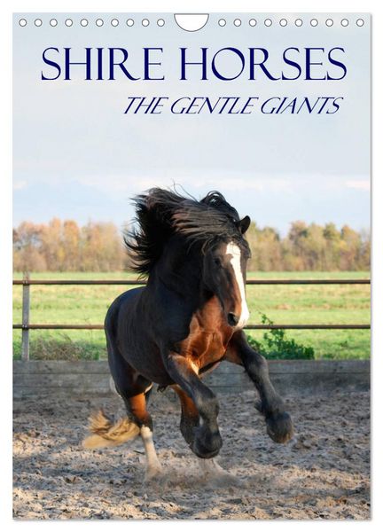 Produktbild: Shire Horses The Gentle Giants (Wall Calendar 2026 DIN A4 portrait), CALVENDO 12 Month Wall Calendar