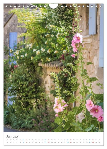 Produktbild: Provence im Licht (Wandkalender 2026 DIN A4 hoch), CALVENDO Monatskalender