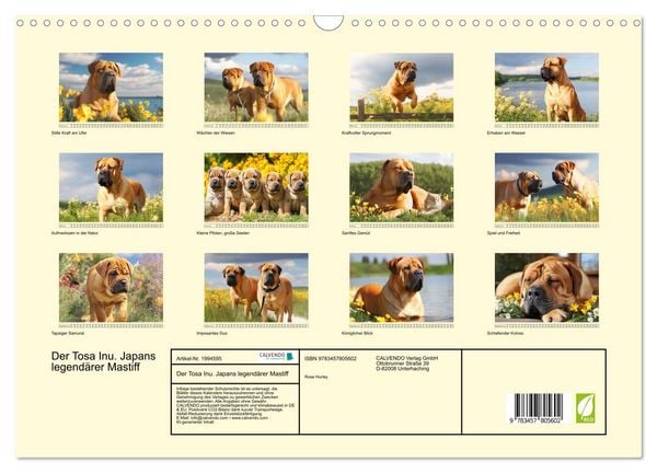 Produktbild: Der Tosa Inu. Japans legend&auml;rer Mastiff (Wandkalender 2026 DIN A3 quer), CALVENDO Monatskalender
