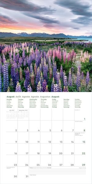 Produktbild: Aufgebl&uuml;ht - KUNTH Broschurkalender 2027