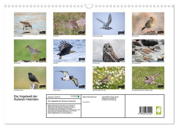 Produktbild: Die Vogelwelt der &Auml;u&szlig;eren Hebriden (Wandkalender 2026 DIN A3 quer), CALVENDO Monatskalender
