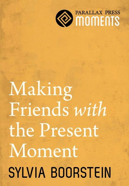 Produktbild: Making Friends with the Present Moment