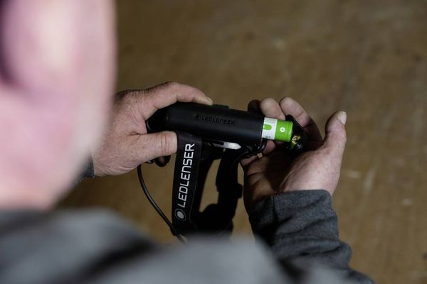 Produktbild: Ledlenser H7R LED Stirnlampe akkubetrieben 1200lm 4h 503221
