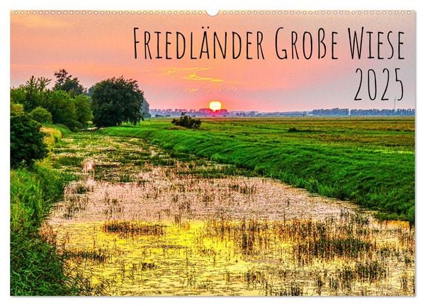 Friedländer Große Wiese (Wandkalender 2025 DIN A2 quer), CALVENDO Monatskalender