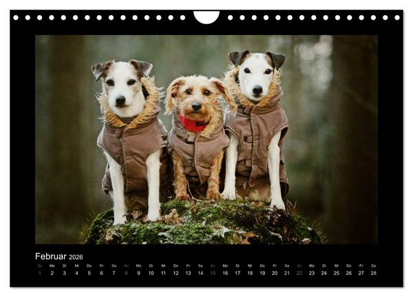 Produktbild: Die Parsons (Wandkalender 2026 DIN A4 quer), CALVENDO Monatskalender