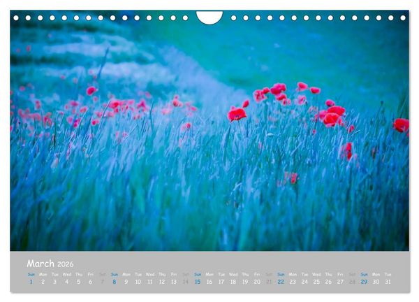 Produktbild: Poppy Love (Wall Calendar 2026 DIN A4 landscape), CALVENDO 12 Month Wall Calendar