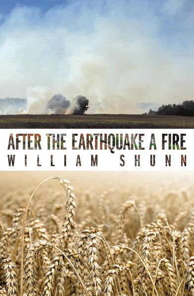 Produktbild: After the Earthquake a Fire