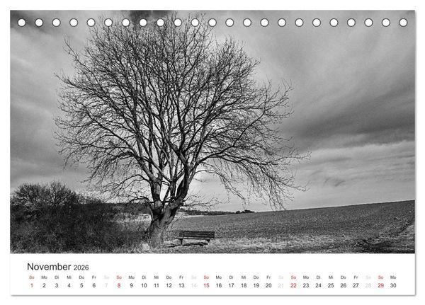 Produktbild: B&auml;ume - Natursch&ouml;nheiten in schwarz-wei&szlig; (Tischkalender 2026 DIN A5 quer), CALVENDO Monatskalender