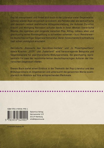 Produktbild: Der Bildungsroman im Zeitalter der Pop-Literatur. Christian Kracht und Wolfgang Herrndorf