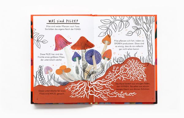 Produktbild: Hallo Pilze