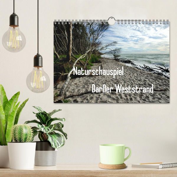 Produktbild: Naturschauspiel Dar&szlig;er Weststrand (Wandkalender 2027 DIN A4 quer), CALVENDO Monatskalender