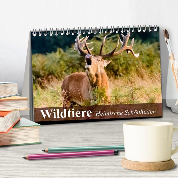 Produktbild: Wildtiere. Heimische Sch&ouml;nheiten (Tischkalender 2026 DIN A5 quer), CALVENDO Monatskalender