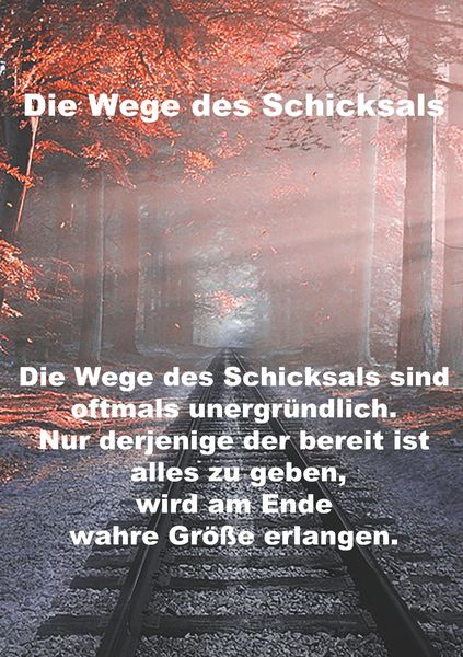 Produktbild: Wege des Schicksals