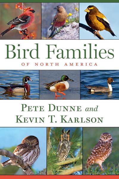 Produktbild: Bird Families of North America