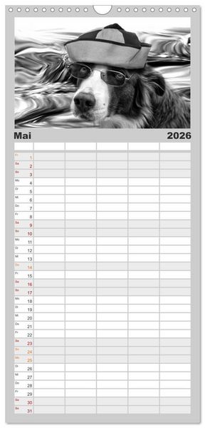 Produktbild: Familienplaner 2026 - H&uuml;tehunde mit 5 Spalten (Wandkalender, 21 x 45 cm) CALVENDO