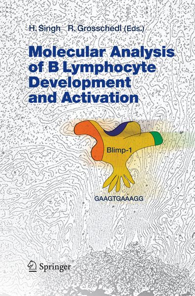 Produktbild: Molecular Analysis of B Lymphocyte Development and Activation