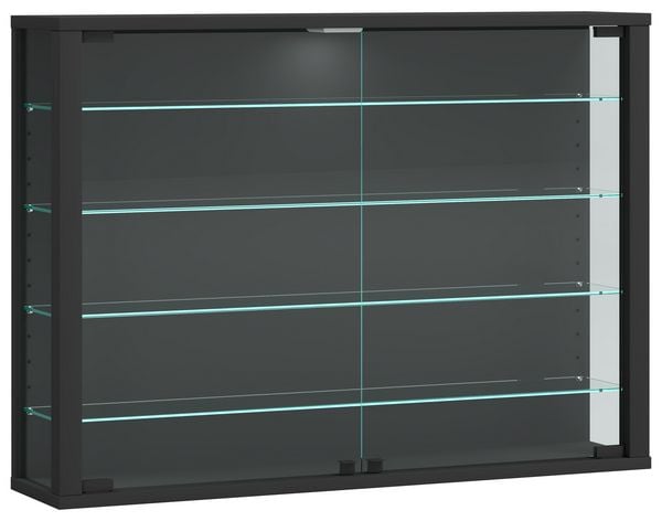 Wandvitrine Hängevitrine Glasvitrine Vitrosa L